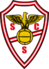 cropped-salgueiros_logo.png